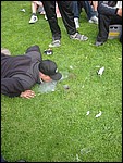 137-3748_IMG.JPG