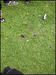 137-3750_IMG.JPG