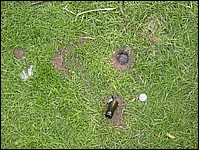 137-3751_IMG.JPG