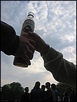137-3784_IMG.JPG